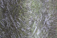 Hilltop fibreglass roof work